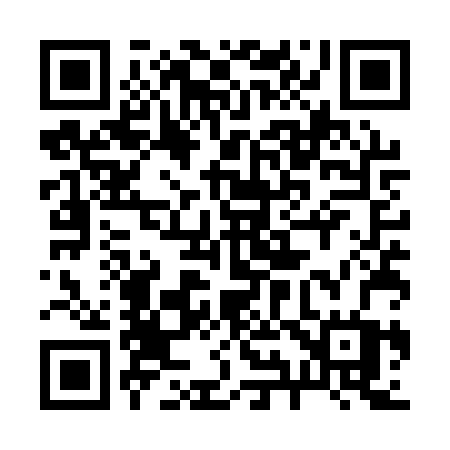 QR code for 295QRW