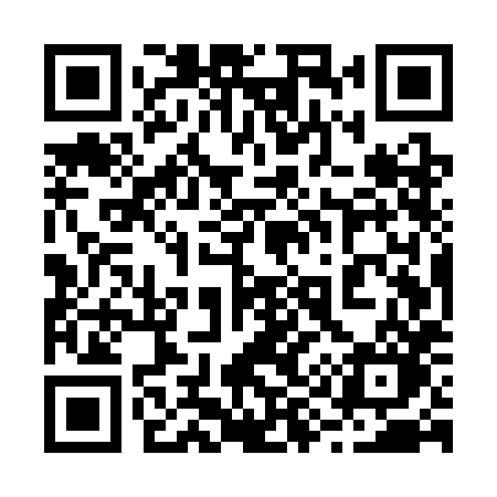 QR code for 295SHO