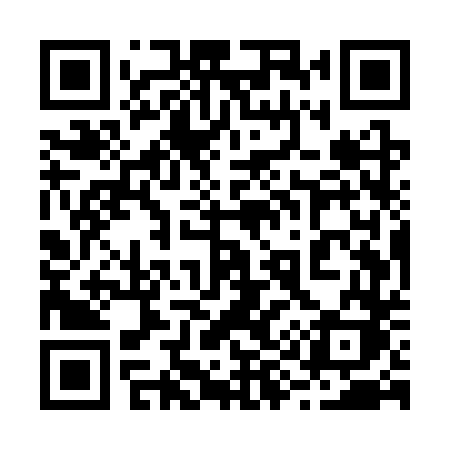 QR code for 295STK