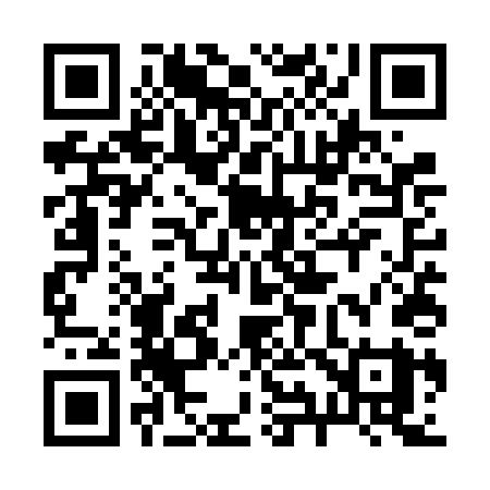 QR code for 295VDY