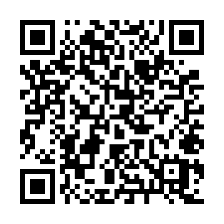 QR code for 295VMU