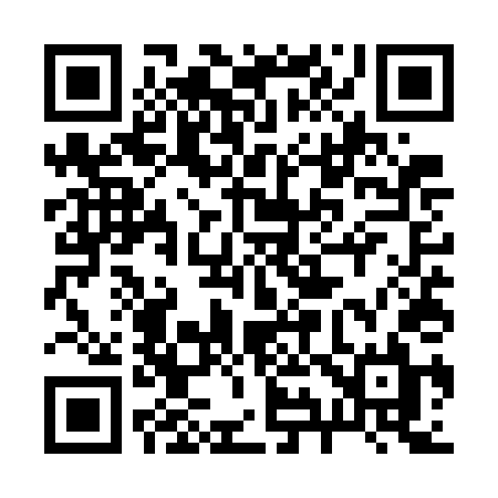 QR code for 295WDL