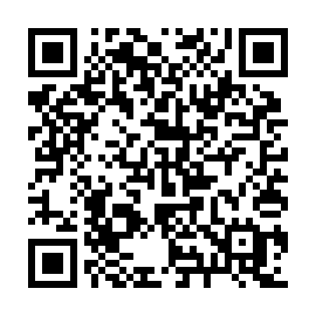 QR code for 295ZAE