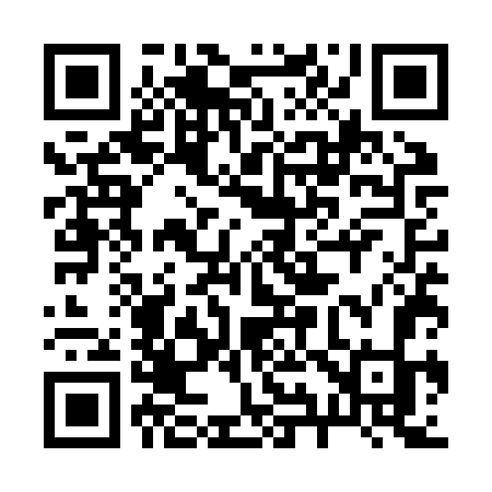 QR code for 295ZWK