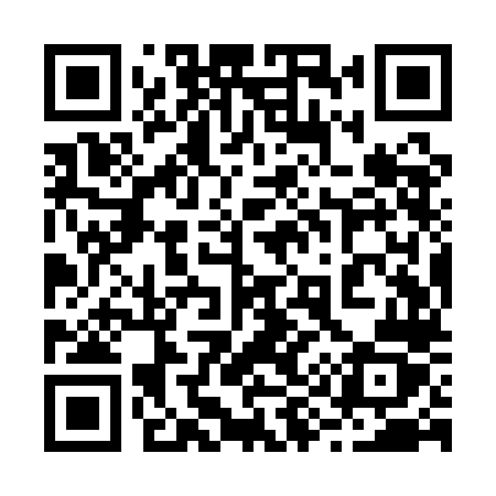 QR code for 299QLZ