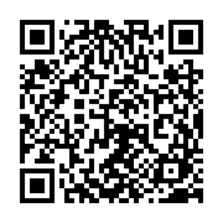 QR code for 299STM