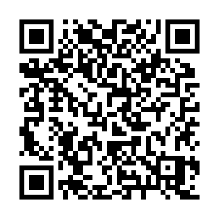 QR code for 299ZZS