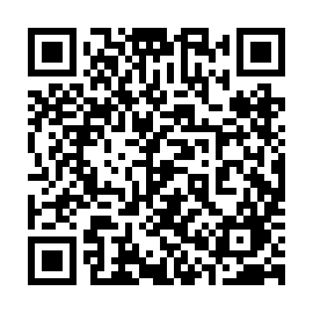 QR code for 300BIG
