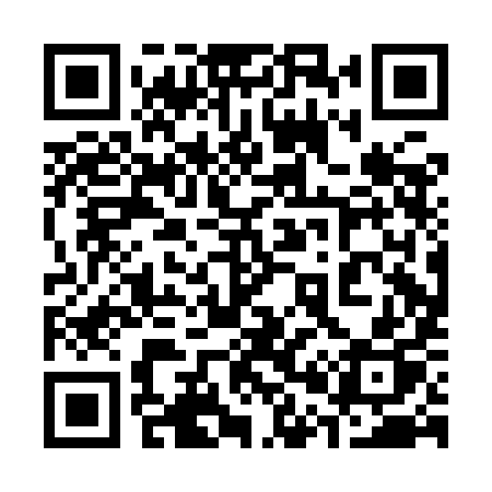 QR code for 300IIP