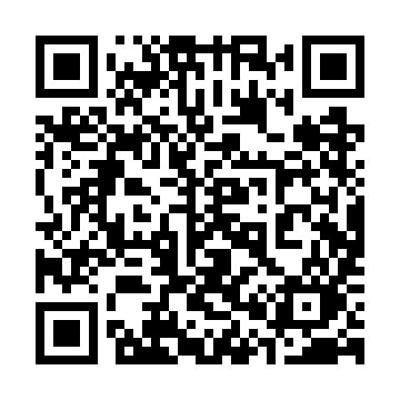 QR code for 300WIO