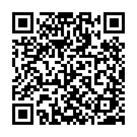 QR code for 306PNK