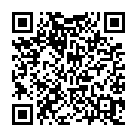 QR code for 306VIE