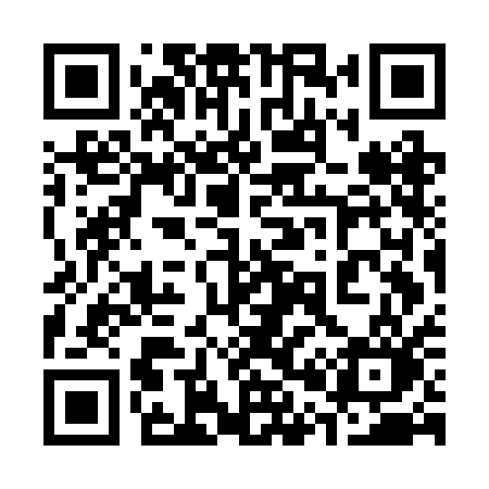 QR code for 307BAO