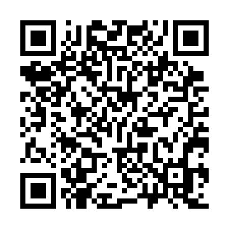 QR code for 307SFO