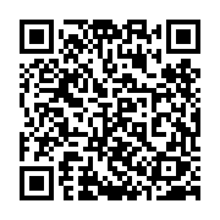QR code for 308DFX