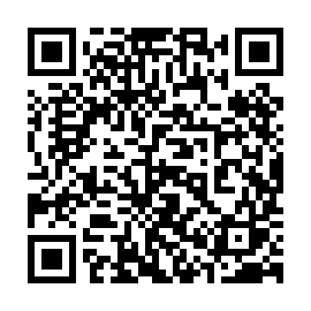QR code for 308PIS