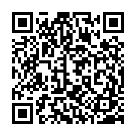 QR code for 311AVS