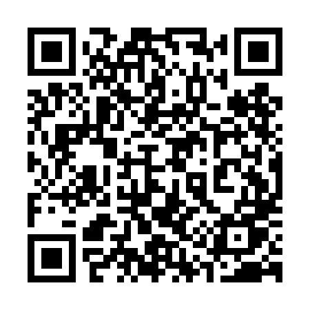 QR code for 311DLU