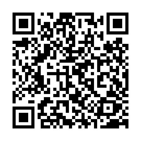 QR code for 311DZZ