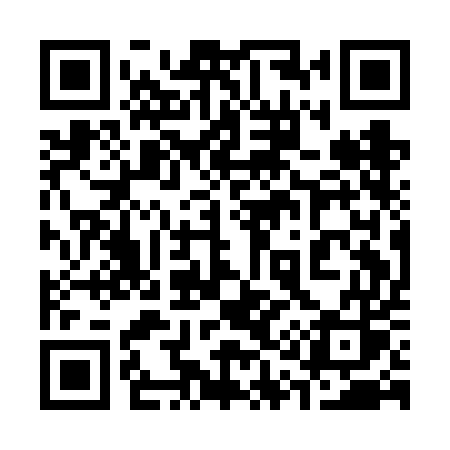 QR code for 311FES