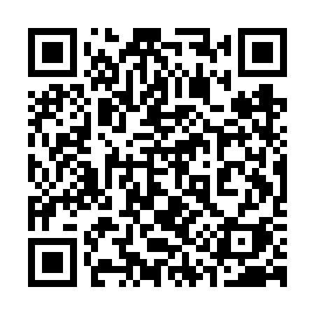 QR code for 311FSI