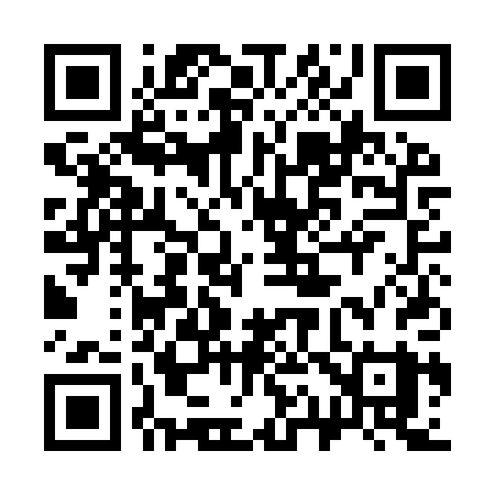 QR code for 311IPY