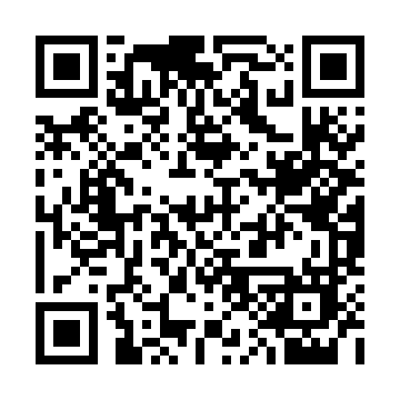 QR code for 311OLO
