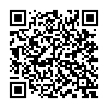QR code for 311PDE