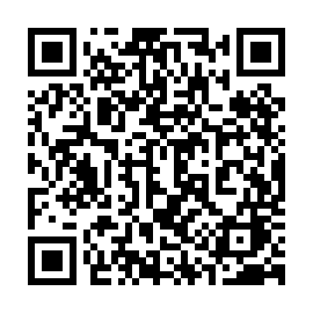 QR code for 311POC