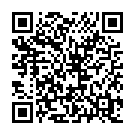 QR code for 311PZL