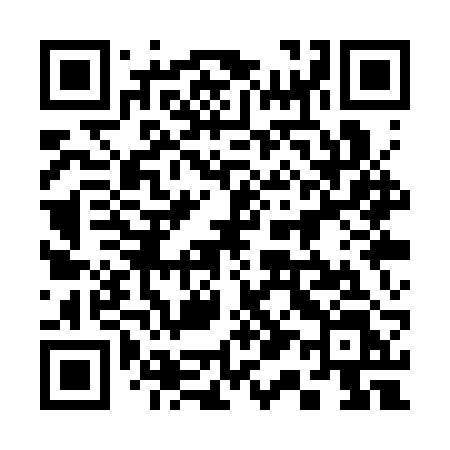 QR code for 311SRL