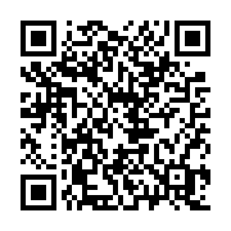 QR code for 311VRF