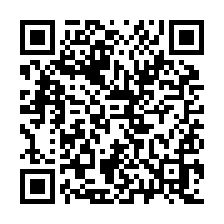 QR code for 311ZIJ