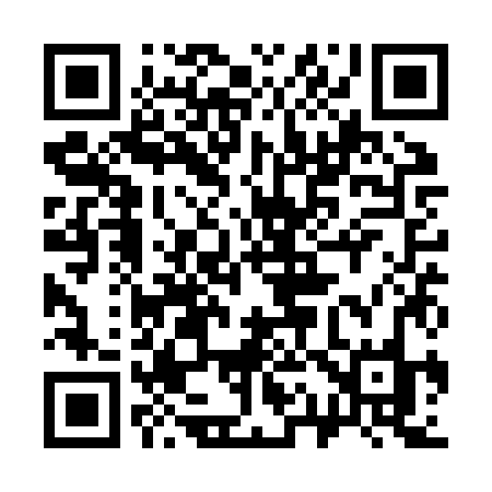 QR code for 311ZZO