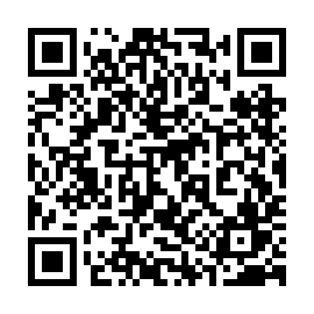 QR code for 313BIV