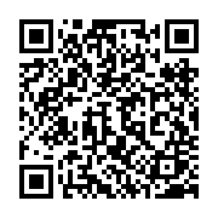 QR code for 313BOS
