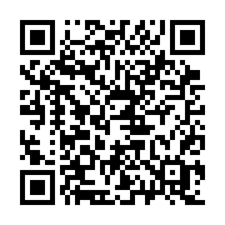 QR code for 313CDG