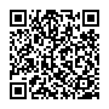 QR code for 313DCP