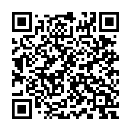 QR code for 313DDT
