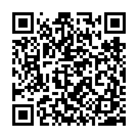QR code for 313FFS