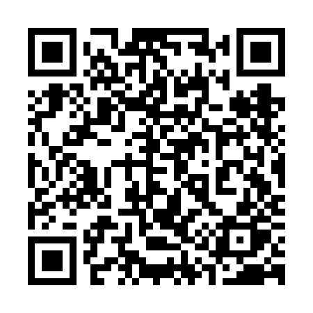 QR code for 313FJP
