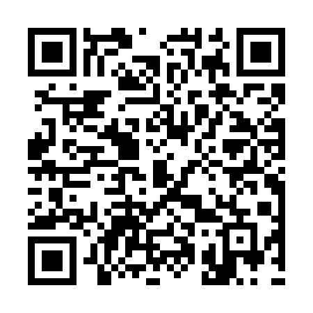 QR code for 313GAE