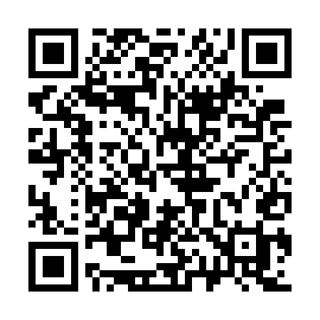 QR code for 313GEI