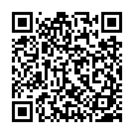 QR code for 313GTI