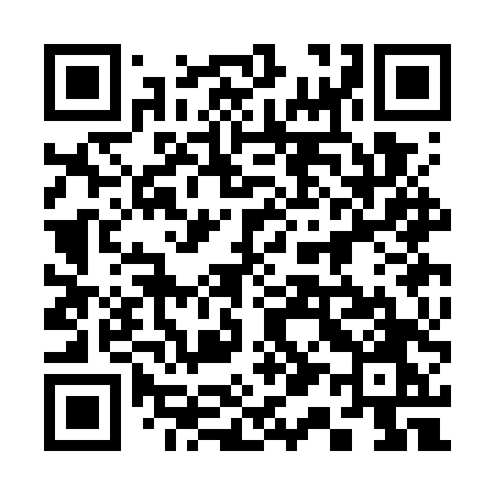 QR code for 313GTO