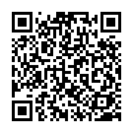QR code for 313HGH