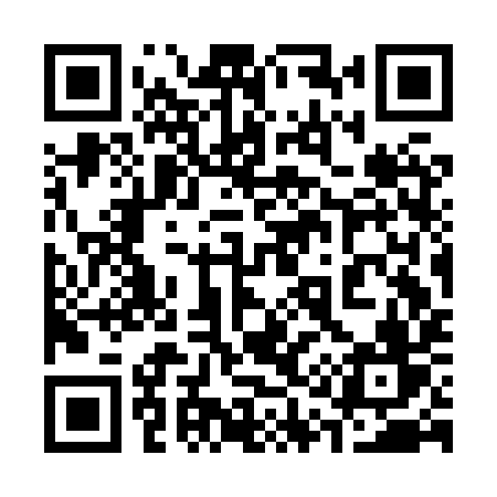 QR code for 313HYV