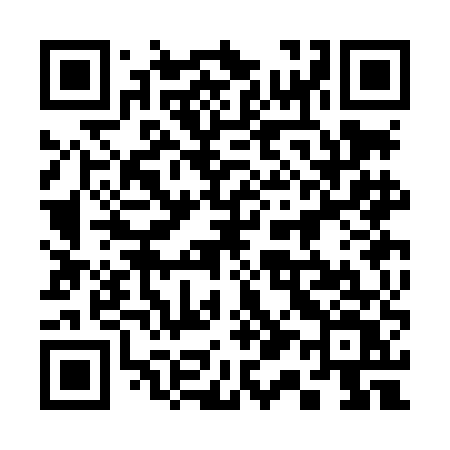 QR code for 313LEV