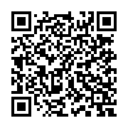 QR code for 313LLV