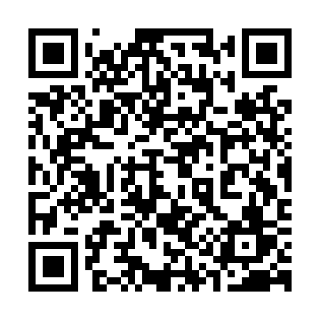 QR code for 313LSV